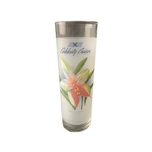 Vintage Celebrity Cruises Frosted High Ball Cocktail Recipe Glass Phalaenopsis